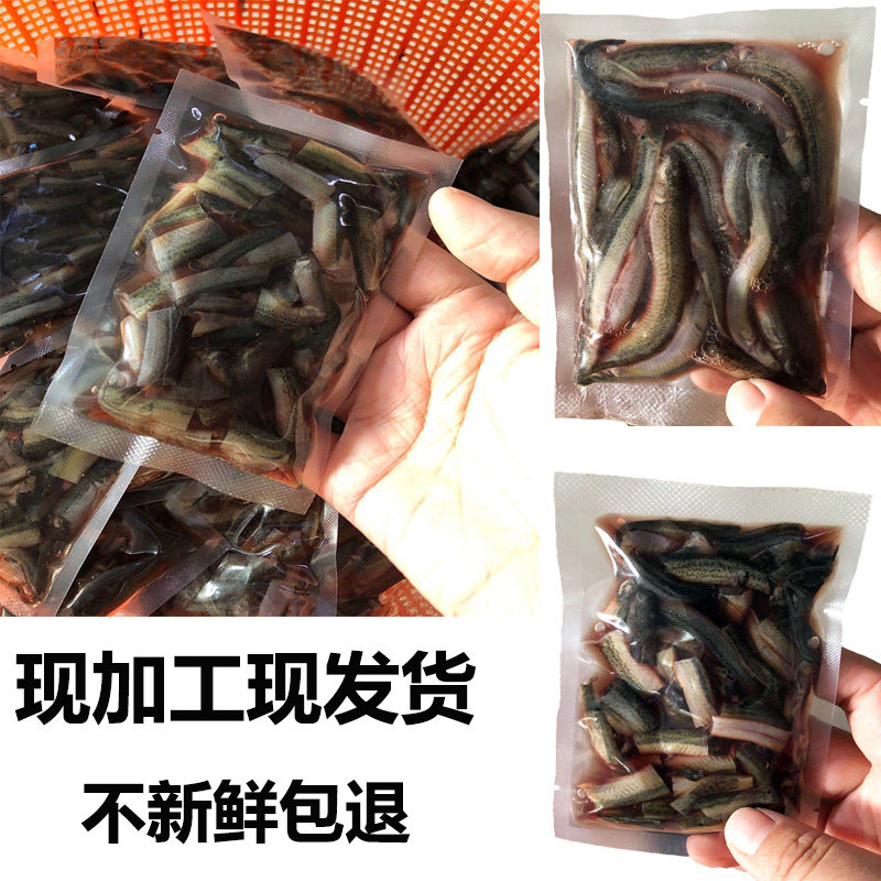 Fresh to mucus freeze freeze slice of fish feed frozen river shrimp red dragon eats frozen shrimp frog little fish