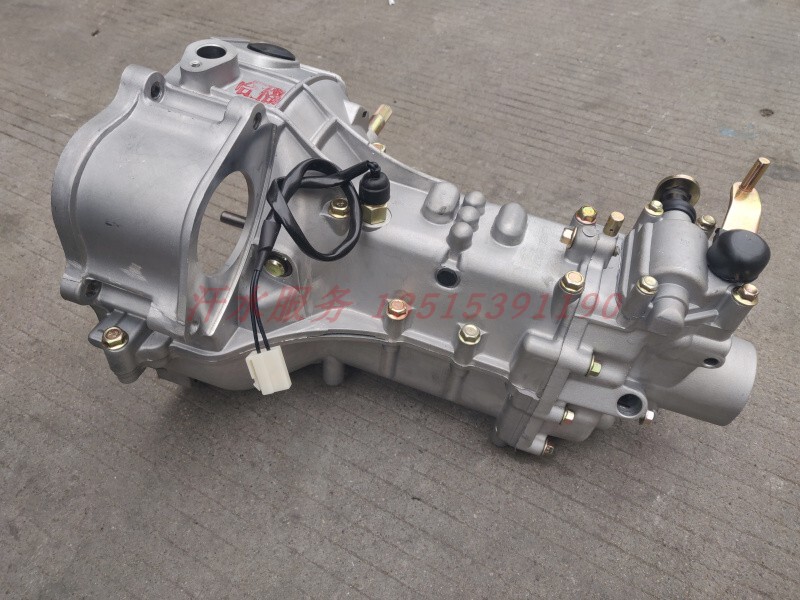 Zongshen Long J6 Wuxing Longxin Pioneer Jinma 650Zh Dual-Cylinder Liugong 800 Engine Gearbox Assembly