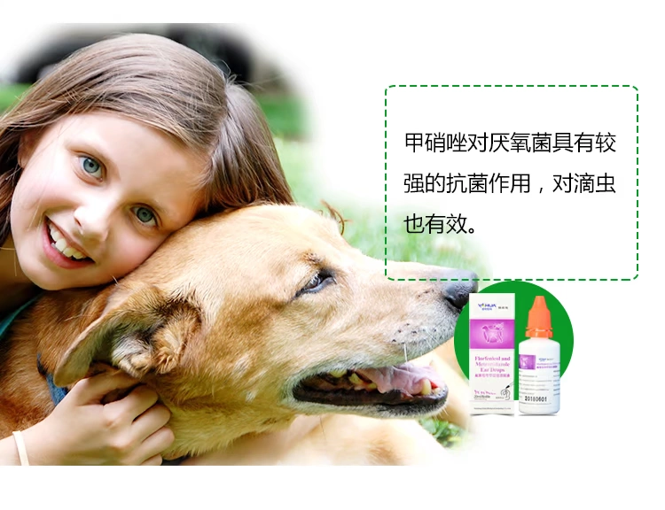 Pet dog tai tai điếc mèo mèo tai làm sạch chất lỏng viêm tai giữa chống viêm ngứa đi tai giọt dầu tai - Cat / Dog Medical Supplies