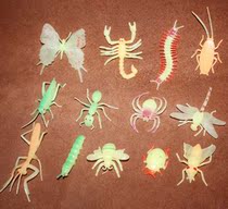 Fluorescent simulation insect model toy ornaments Spider butterfly caterpillar and other 13 complete packages