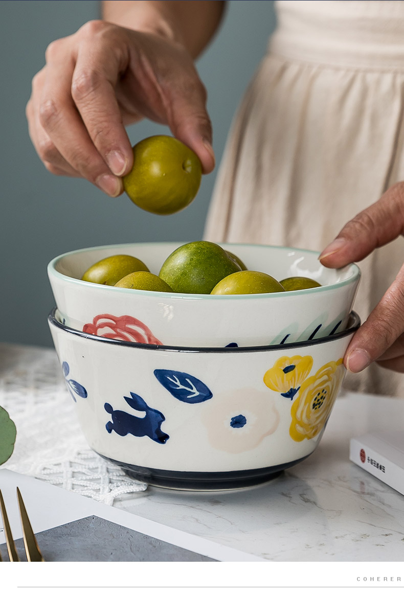 Japanese eat rice bowl ceramic tableware dishes dishes suit household large soup bowl rice bowls a single rainbow such use salad