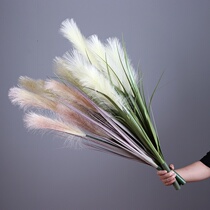 Yongyue home Nordic simple simulation green plant Reed grass Dog tail grass Hotel lobby Living room Floor-to-ceiling display green plant