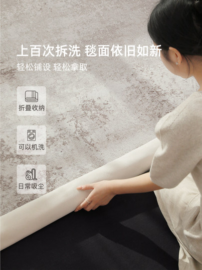 Removable and Washable Living Room Carpet 2026 New Model Double-Layer Machine Washable Modern Simple No-Wash Wipeable Home Soundproof Floor Mat