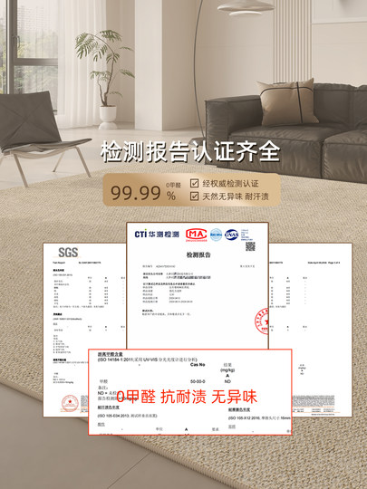 地毯客厅高级感2025新款免洗可擦卧室床边地垫纯色耐脏大面积全铺
