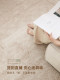 Carpet for Living Room 2025 New French Cream Style Bedroom Bedside Rug Home Easy-Care Large Area Full Coverage Floor Mat