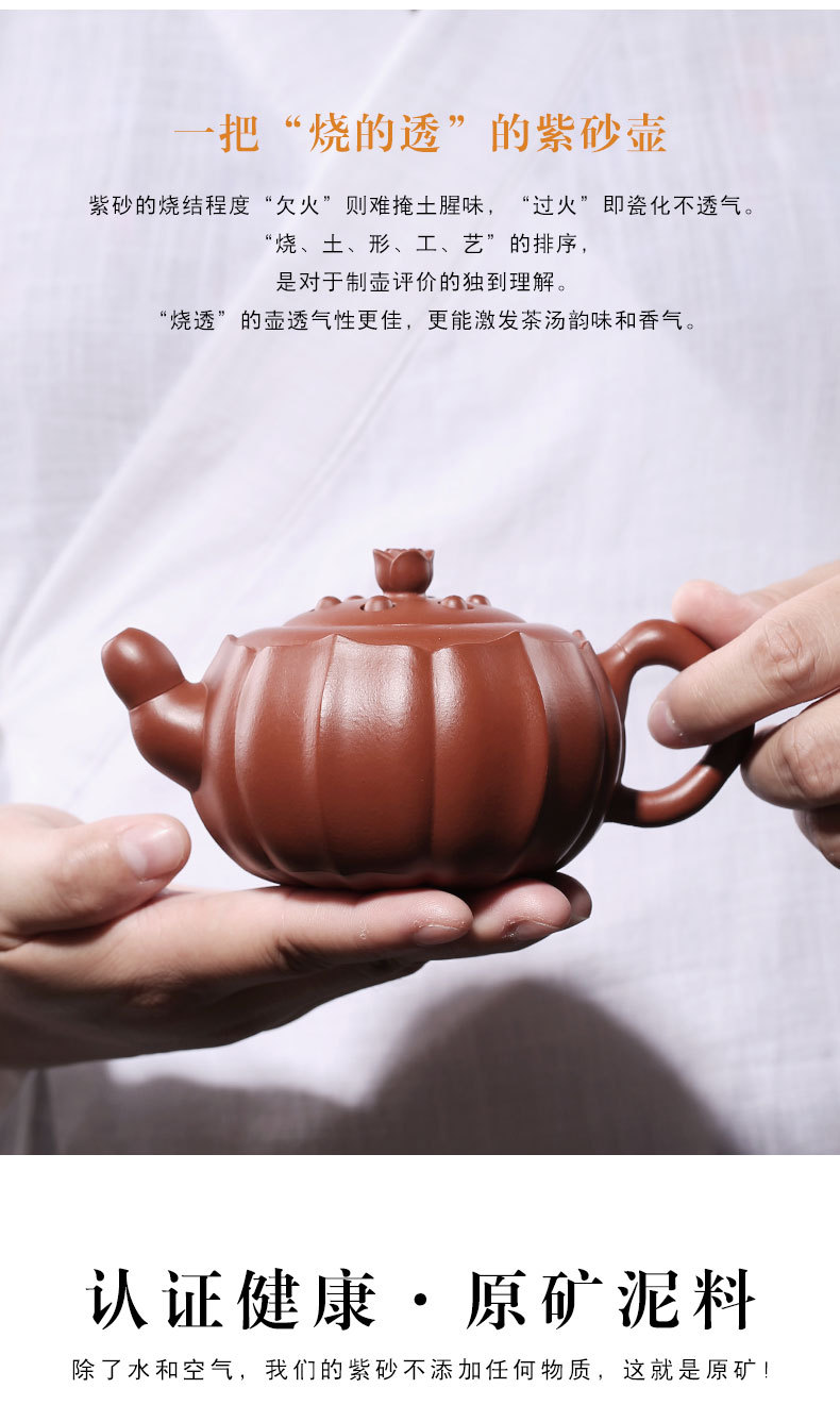 Zw it undressed ore mud zhu pure manual zhi - gang cao lotus lotus seed pot