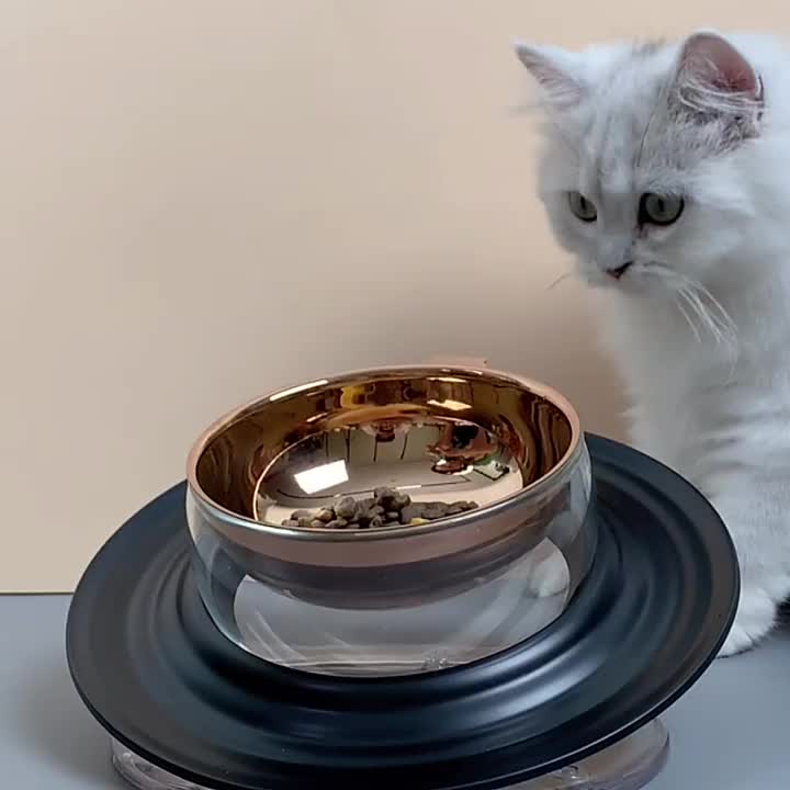 Stainless Steel Elevated Cat Bowl Tilted Cat And Small Dog Food Bowls