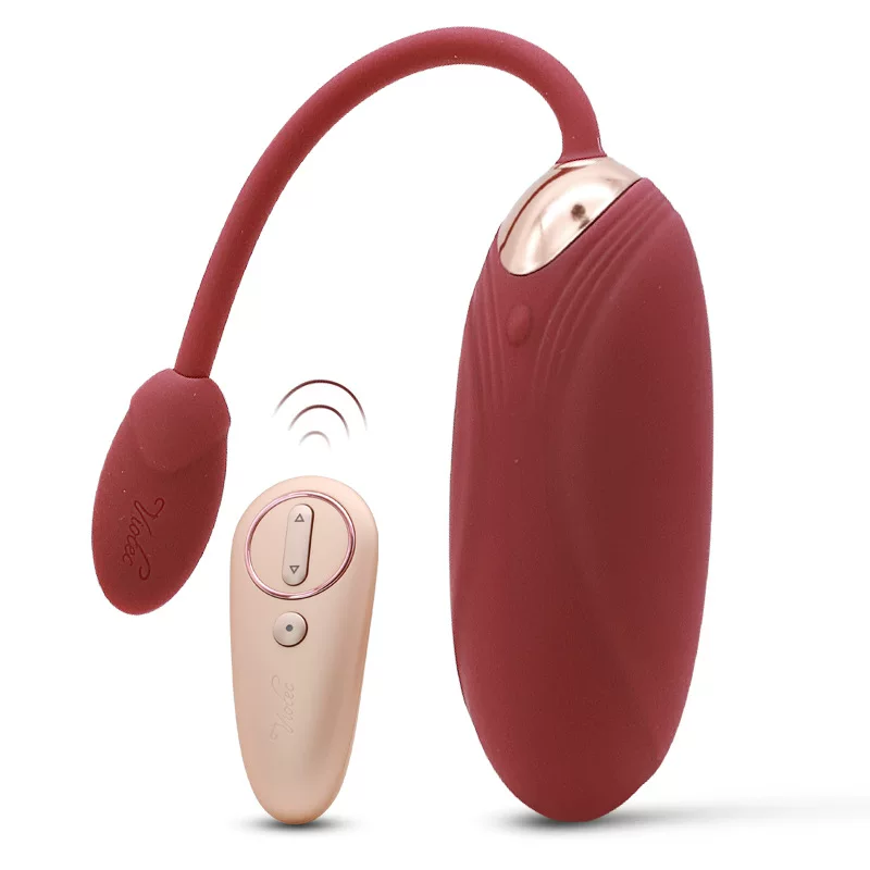 [Rechargeable Wireless Vibrator Panties Sex Toys for Women]