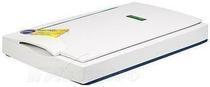 Founder Z1600 scanner A3 high-speed HD scanner A3 flatbed scanner licensed