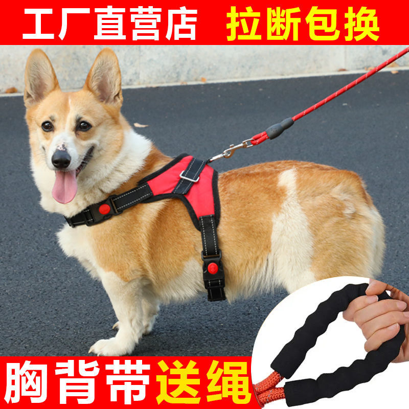 Vest dog traction rope Teddy Corgi bear method small and medium-sized dog chest holding baby bag walking dog rope chain supplies