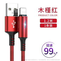 1,2 метра [Hibiscus red] [One Pack] 丨 [1 час заполнен]
