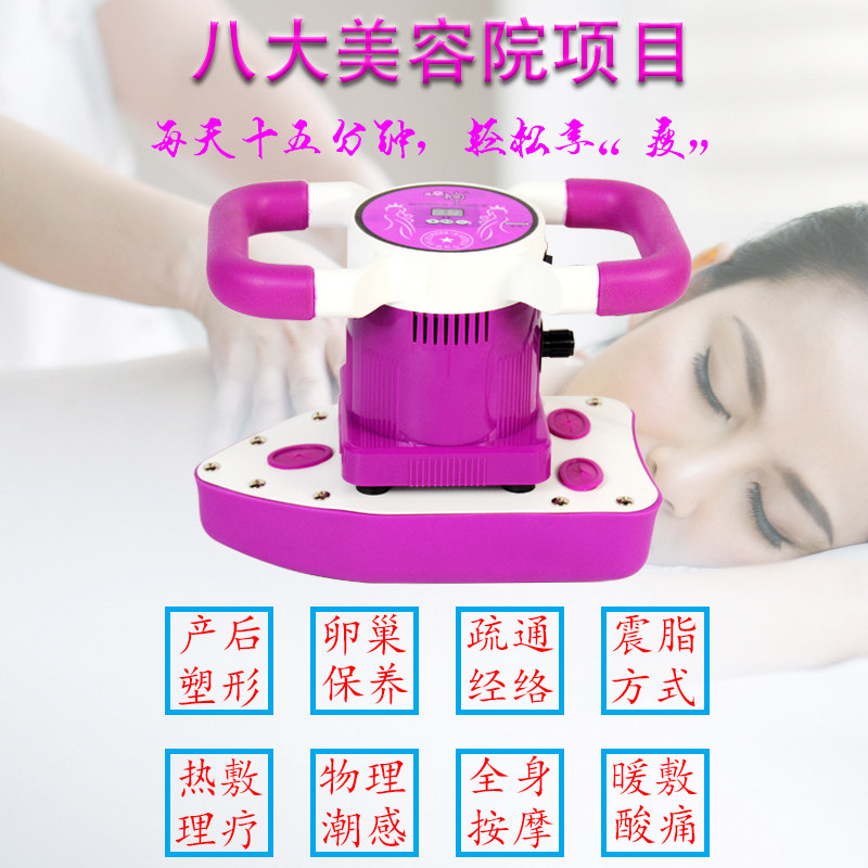 Magic Heating Massor Beauty Yard Private Vibration Ovary Maintenance Instrument Multifunction Electric Body Shock Grease Instrument