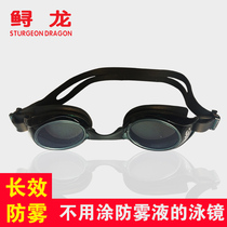 Sturgeon 501 long-acting HD anti-fog big frame swimming glasses for men and women universal waterproof adult children flat swimming goggles