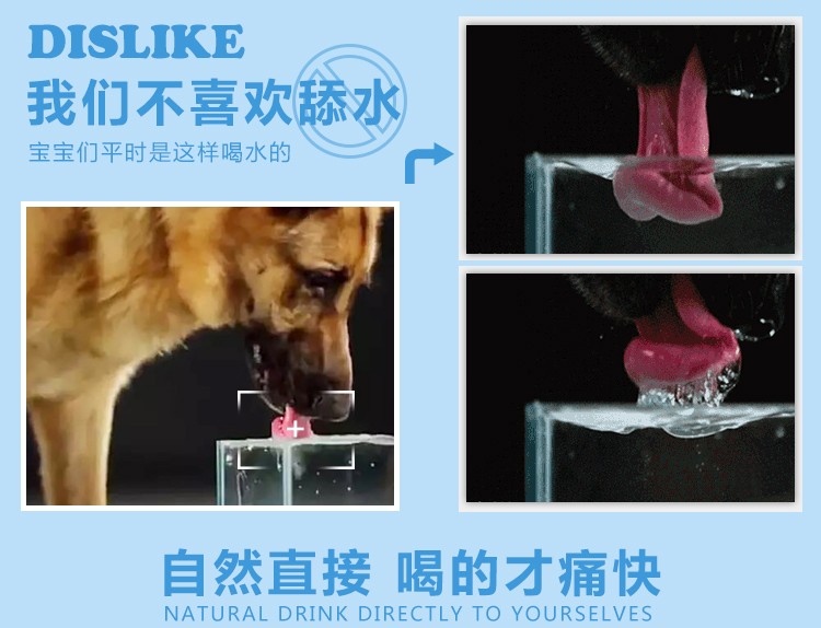 Tự động cho chó uống đài phun nước mèo Teddy bát nước cần thiết hàng ngày vật nuôi bát cơm nhỏ và vừa - Cat / Dog hàng ngày Neccessities 	bát thức ăn cho chó	