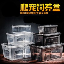 Turtle box box large basin transparent cockroach pet decoration closed climbing water and land breeding box breeding small and medium climbing