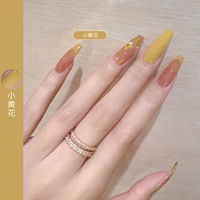 【Little Huanghua】