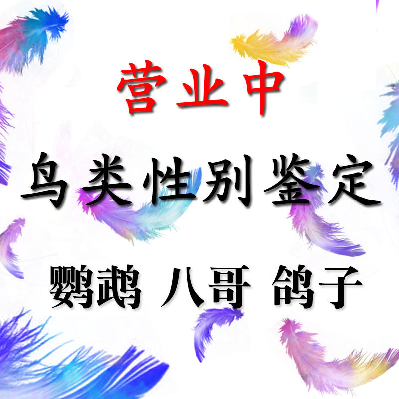 Golden Peng bird DNA test for parrot sex double virus identification (Xuanfeng peony VIII Collino pigeons)