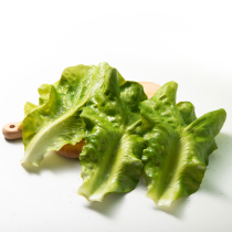 Simulation lettuce leaves fake vegetable model decoration large vegetable leaves cabbage hot pot plate decoration washing soft boutique