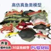 Simulation fish model lobster crab red carp window display props display toy fish Crucian carp tropical ocean fish