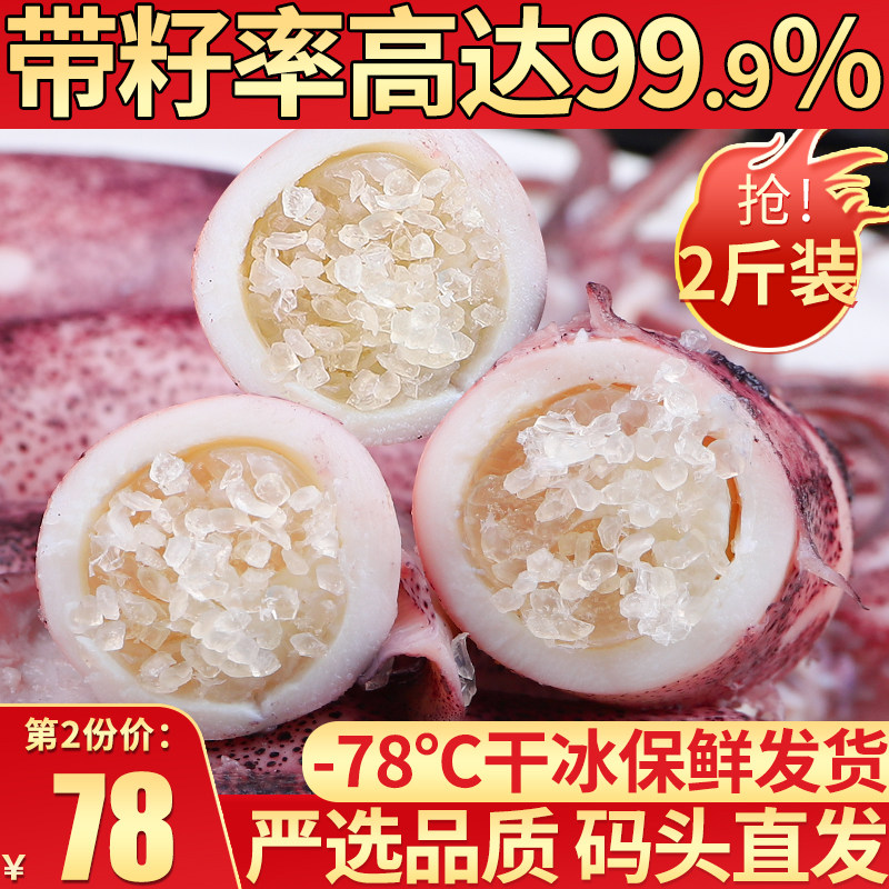 Sea Rabbit full seed Pen Tube Fish Seafood Aquatic Fresh small squid seed Ufull seed Living frozen squid seed Uu