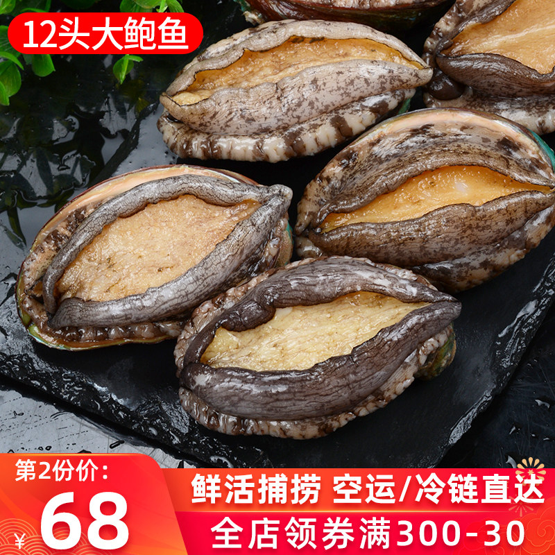 Abalone Alive Commercial Great Abalone Fresh Black Gold Small Abalone Gold Seafood Sea Cucumber Shrimp Slip Aquatic 12 Head Wholesale