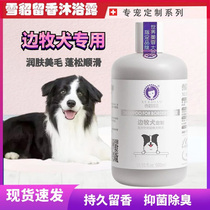 Ferret Dog Body Wash with Bath Dew Side Pasta Special Pet Shampoo Border Shepherd Dog Deodorant Anti-Itch Bathing Supplies