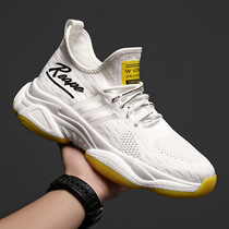 NS-202101 Summer new web surface sneaker mens Korean version big code mens shoes spring breathable old daddy shoe mens wave