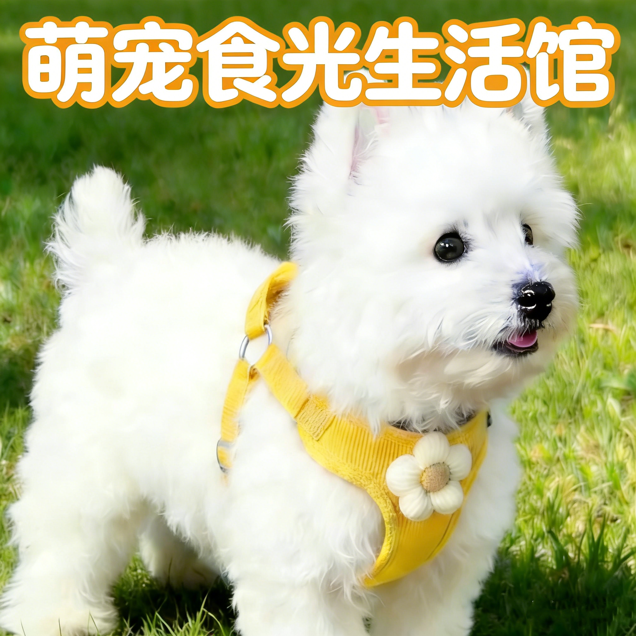 萌宠食光生活馆企业店