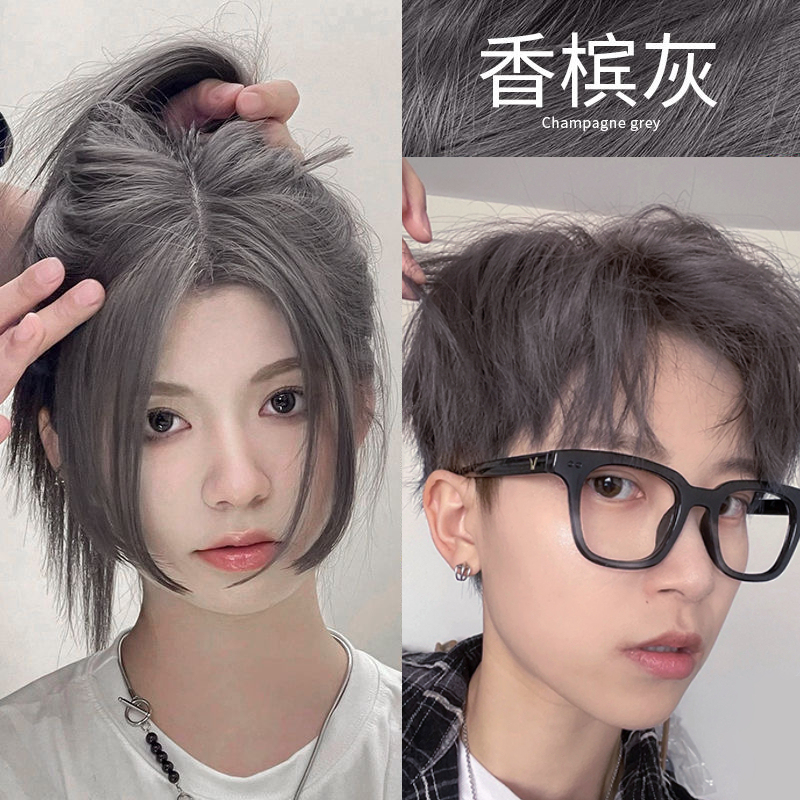 Champagne Gray Hair Dye, Bleach-Free, for Women and Men, Gray Hair Dye, Plant-Based, Pure Haze Gray, Natural and Non-Irritating