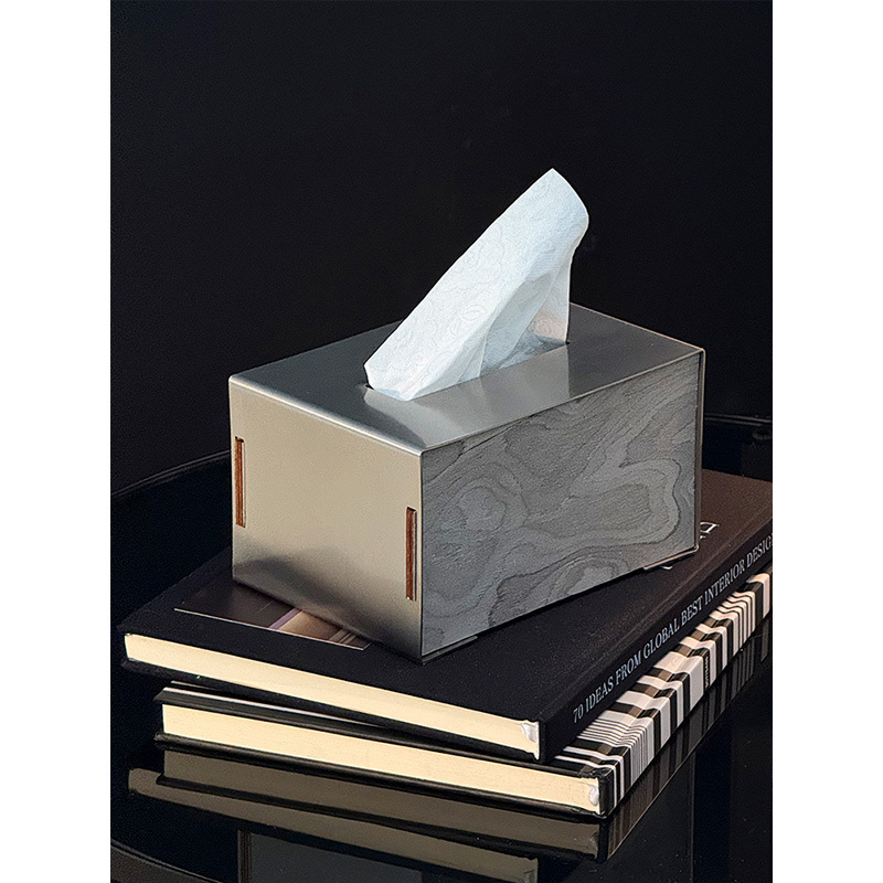 Aiyuu Living Stainless Steel Tissue Box Living Room Light Luxury Home Dining Table Napkin Box High-End Tissue Box