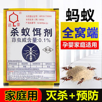 Dachau Ant Medicine Household Car artifact Indoor and outdoor In addition to killing small red black ants non-toxic bait