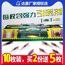 Dachao Cockroach trap cockroach House kills cockroach artifact Buster household powerful cockroach medicine a nest