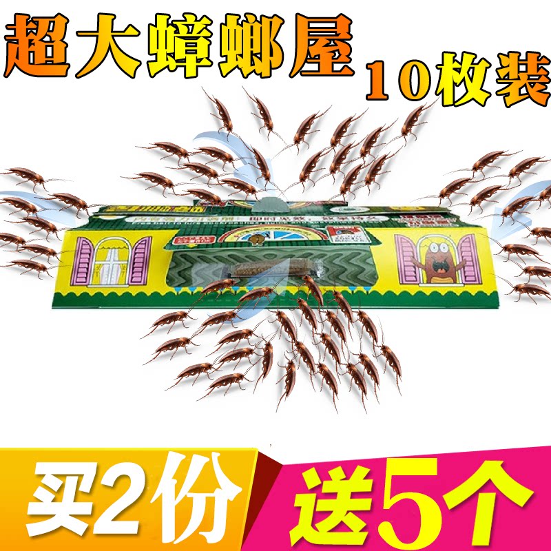 Dachau Cockroach Catcher Cockroach House Kills Cockroach God Instrumental Gram Home Powerful Cockroach Drug A Nest End