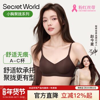 Secretworld Intimates for Women with Small Breasts, Push-Up, Auxiliary Breast Reduction, Anti-Sagging, Seamless, Invisible, Comfortable Bra