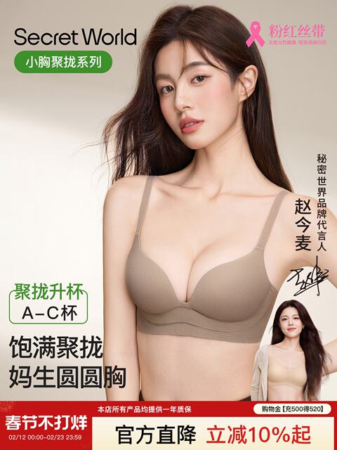 Secretworld Lingerie for Women with Small Busts, Push-Up Effect, Side Breast Enhancement, Anti-Sagging, Deep V, Sexy Bra, Comfortable and Seamless