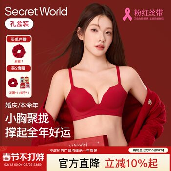 Secretworld Red Lingerie for Women with Small Busts, Push-Up, Side Support, Wedding, Zodiac Year Bra and Panty Set