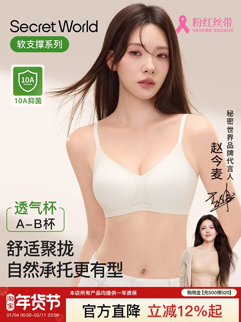 Secret World underwear women's small breast push-up and secondary breast anti-sagging comfortable bra