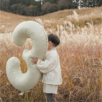 Domestic cream big digital birthday outdoor photo props