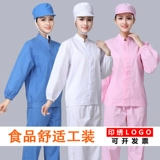 Семинар по производству пищевой промышленности Мастерская институциональная пыль и дышащие мужчины и женщины