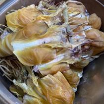 Wild light-dried dried cuttlefish 500g freshwater dried cuttlefish special seafood product about 3 to 4 pieces per kilogram