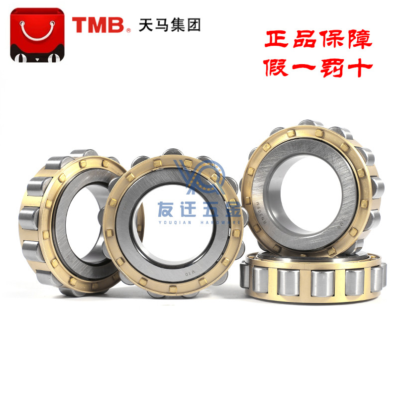 Sky Horse TMB RN309M 502309 reducer cylindrical eccentric bearing 45mm outside 86 5 thickness 25