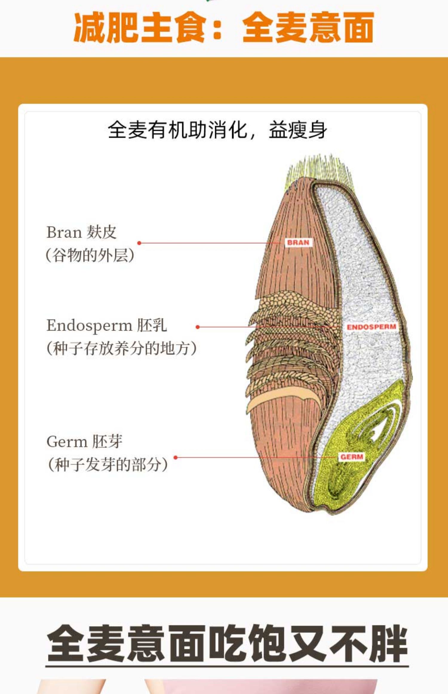 【吉罗鲁摩尼】家用速食意面500g*3袋