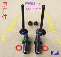 CA250 Motorcycle Accessories Earth Eagle King Qian Jiang QJ250-3 Zongshen Jialing Double-Cylinder Motorcycle Valve Guide