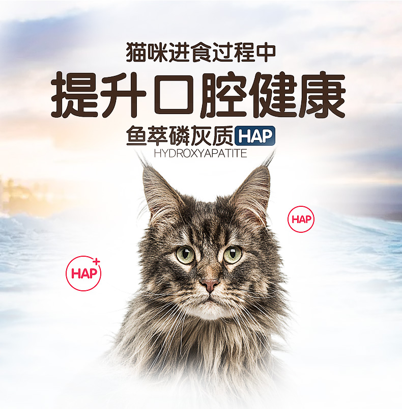 Bộ sưu tập cá Huanhuzi thành thức ăn cho mèo hương vị tươi gói 100gx2 cá hồi biển sâu thức ăn cho cá - Cat Staples hạt cho mèo giá rẻ