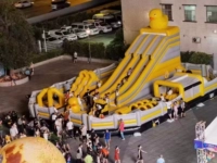 Утиный замок ревеня 2 18*14