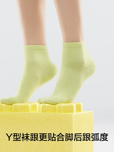[Средняя короткая трубка] Есть носки-деревья, женские носки до середины икры, летние тонкие носки из чистого хлопка с антибактериальным дезодорантом, белые ограничительные носки
