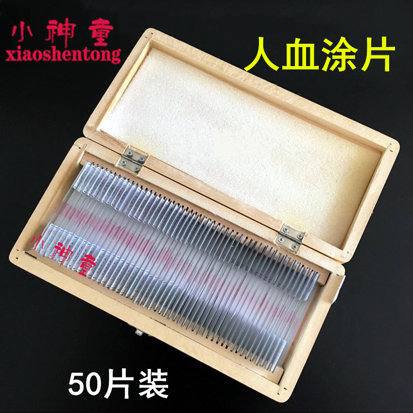 人血涂片 人血永久涂片一盒50片43507生物教学实验器材 装片 切片