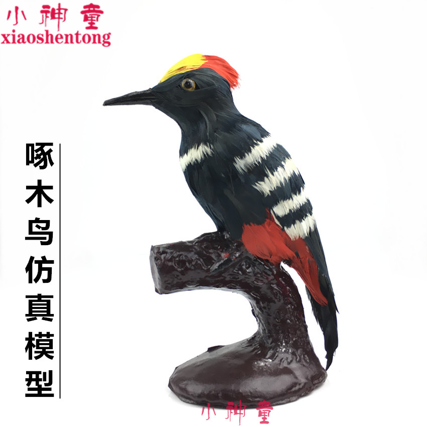 啄木鸟仿真模型 生物实验器材小学科学标本 教学仪器