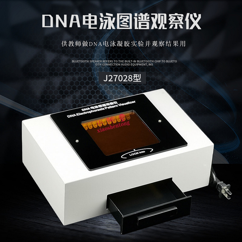 DNA电泳图谱观察仪27028图谱观察器观测仪 高中生物用品 教学仪器