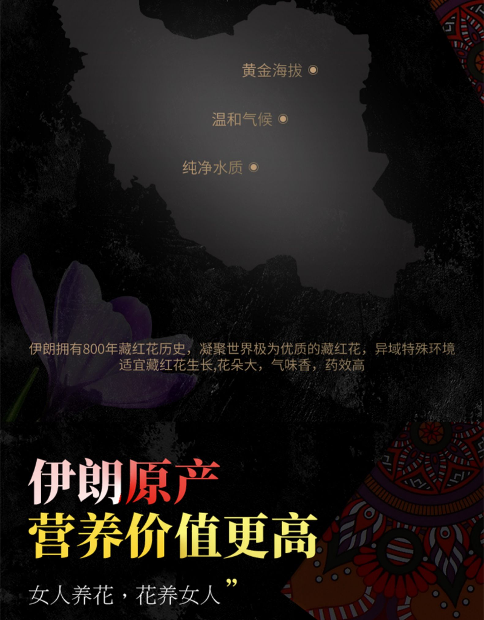 泰圣元 伊朗特级臧红花 1g 图3